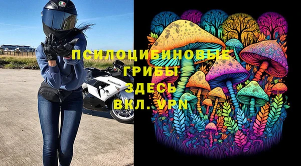 дмт Баксан